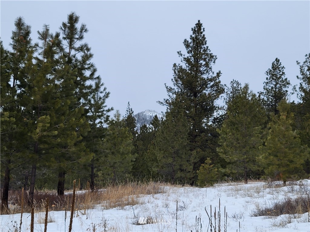 1796 Tunk Creek Road Riverside, WA 98849 - Photo 13 of 23 Gallery Image 13