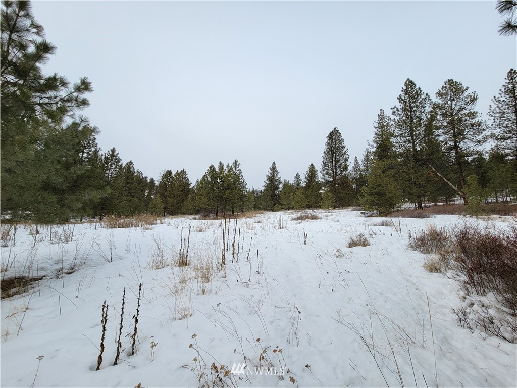 1796 Tunk Creek Road Riverside, WA 98849 - Photo 14 of 23 Gallery Image 14