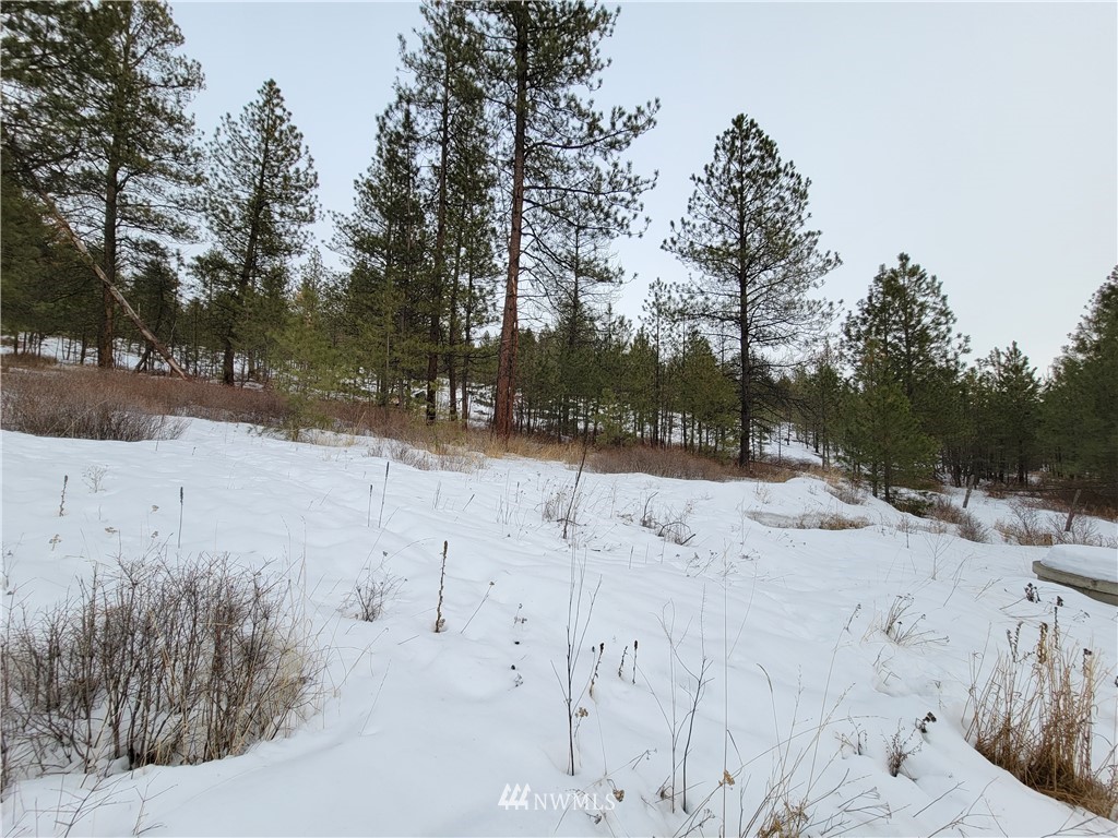 1796 Tunk Creek Road Riverside, WA 98849 - Photo 15 of 23 Gallery Image 15