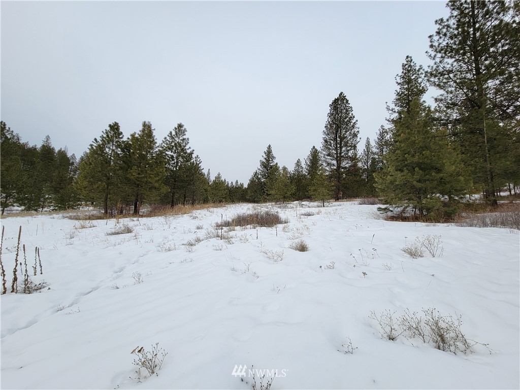 1796 Tunk Creek Road Riverside, WA 98849 - Photo 16 of 23 Gallery Image 16