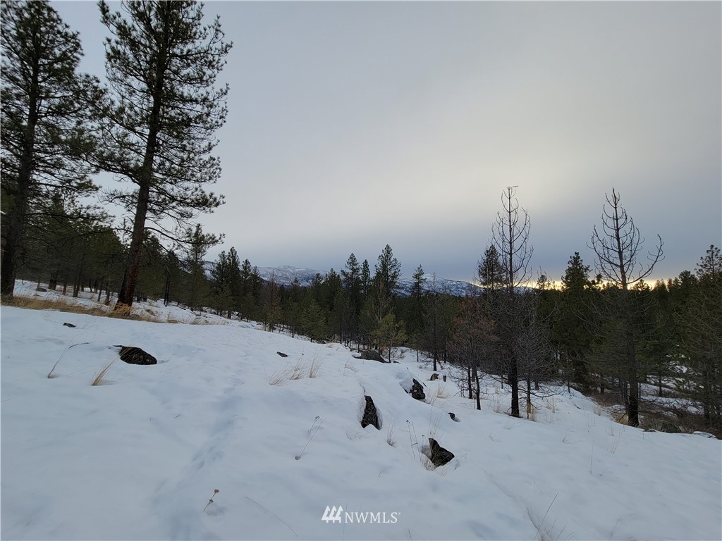 1796 Tunk Creek Road Riverside, WA 98849 - Photo 19 of 23 Gallery Image 19