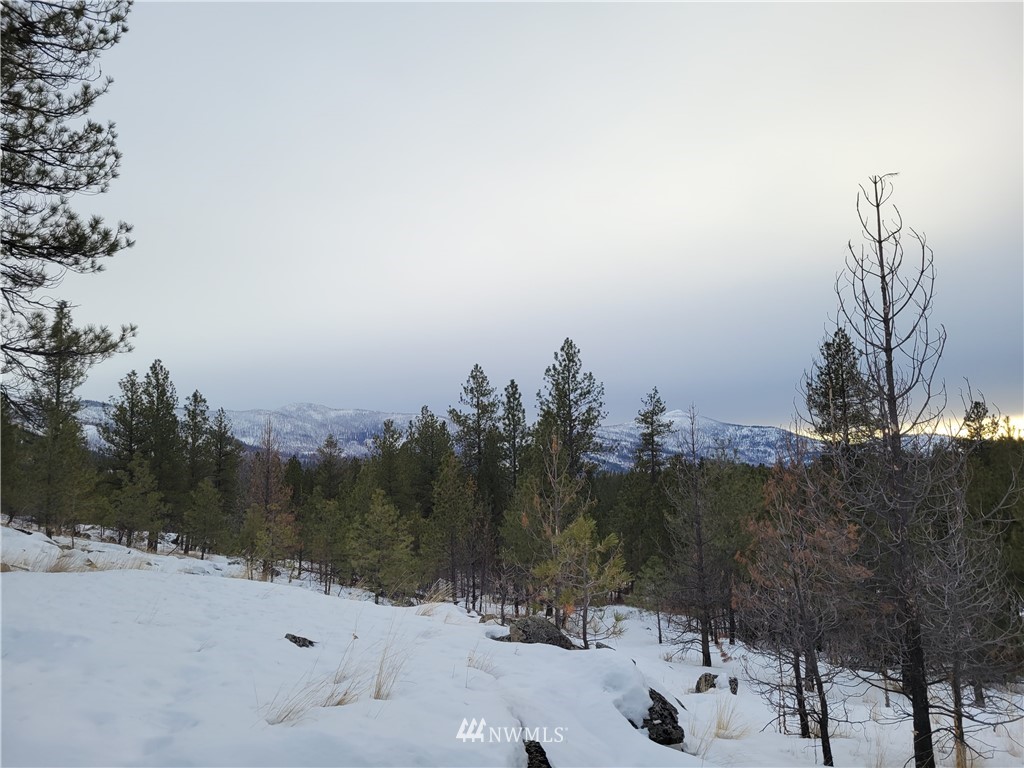 1796 Tunk Creek Road Riverside, WA 98849 - Photo 20 of 23 Gallery Image 20