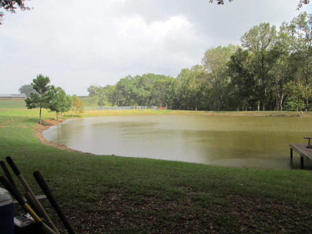 201 Dye Road Gray, GA 31032 - Photo 2 of 20 a view of a lake with a yard