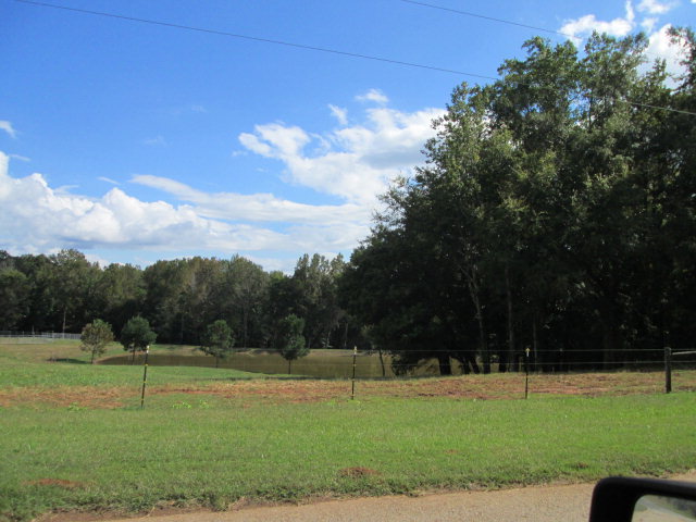 201 Dye Road Gray, GA 31032 - Photo 3 of 20 a view of a golf course