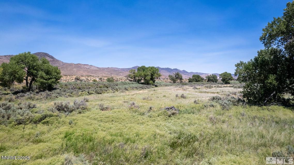 5 River Road Dayton, NV 89403 - Photo 6 of 11 River Rd4
