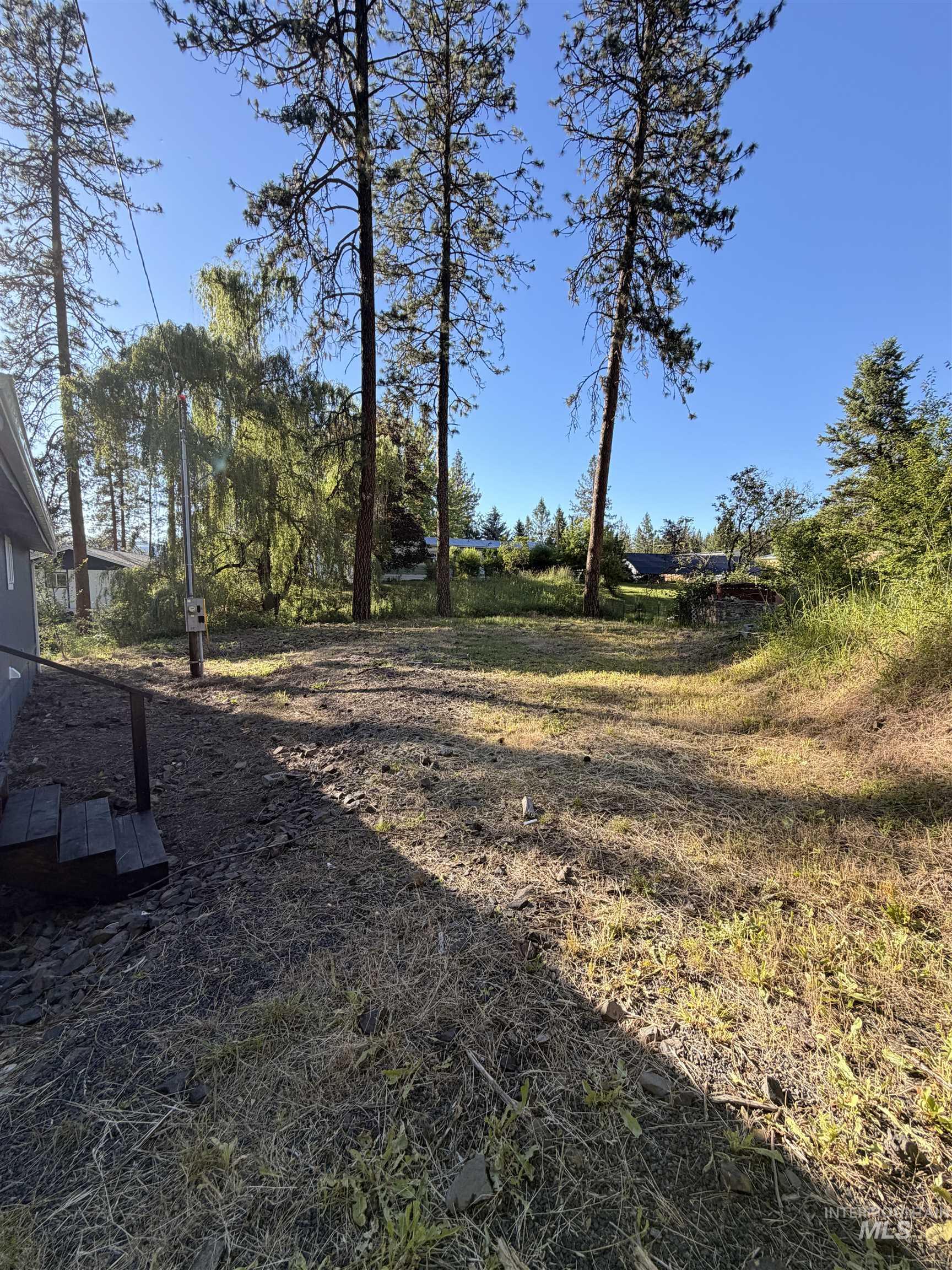 151 View Road Kamiah, ID 83536 - Photo 31 of 49 Expansive natural landscape featuring mature pine trees and varied vegetation