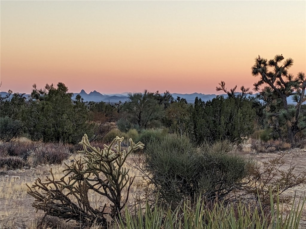 2624 South Gold Mine Road Yucca, AZ 86438 - Photo 7 of 15