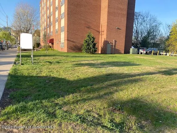 a garden with trees in front of it