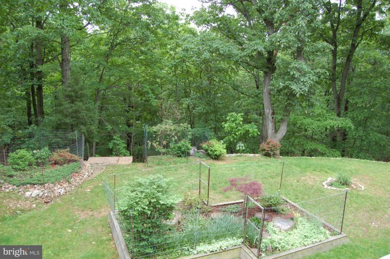 197 Valley Road Front Royal, VA 22630 - Photo 28 of 30 Front Yard