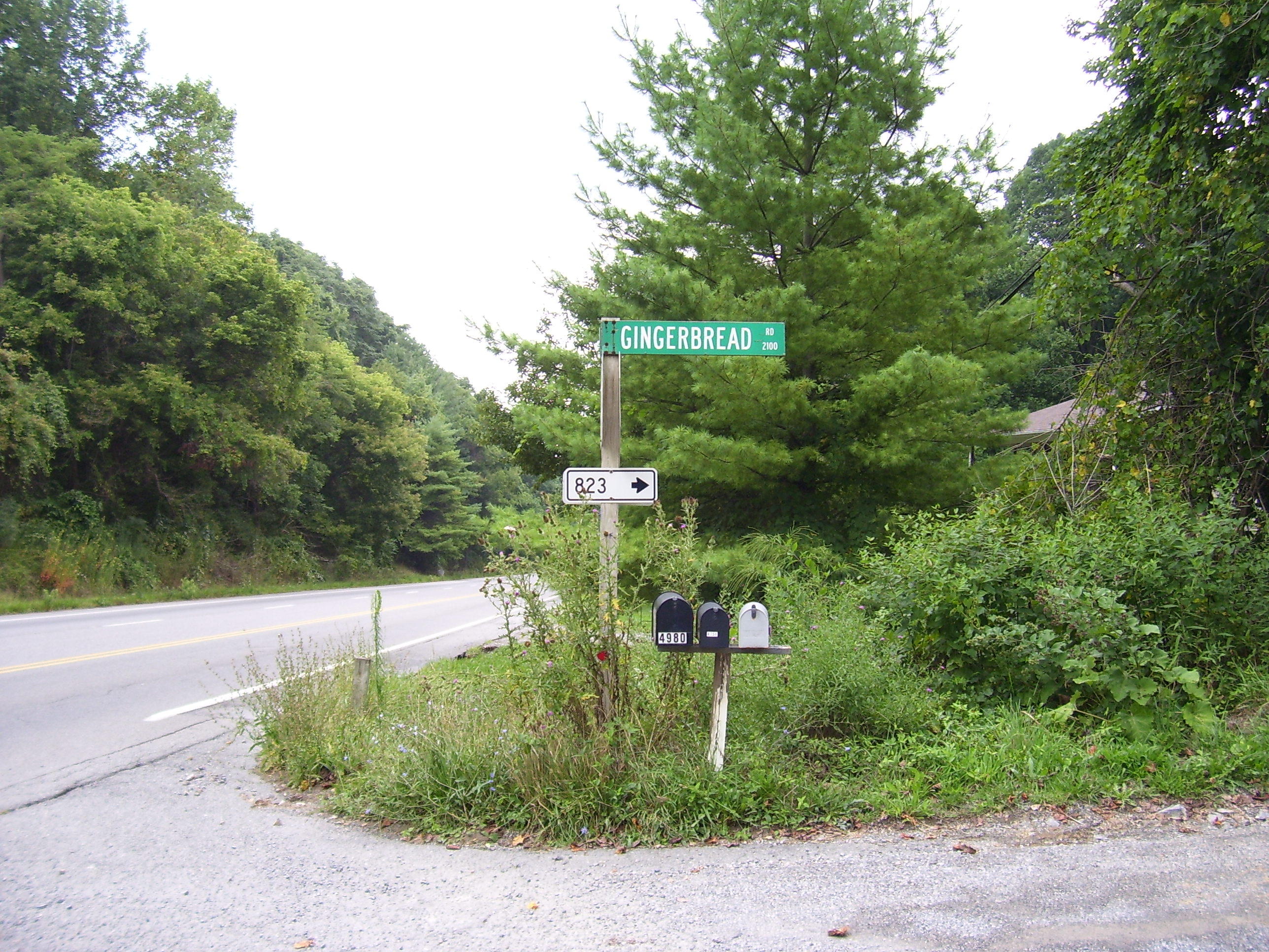2165 Gingerbread Road Christiansburg, VA 24073 - Photo 14 of 86 100_4505