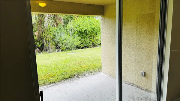 a view of a yard from a window