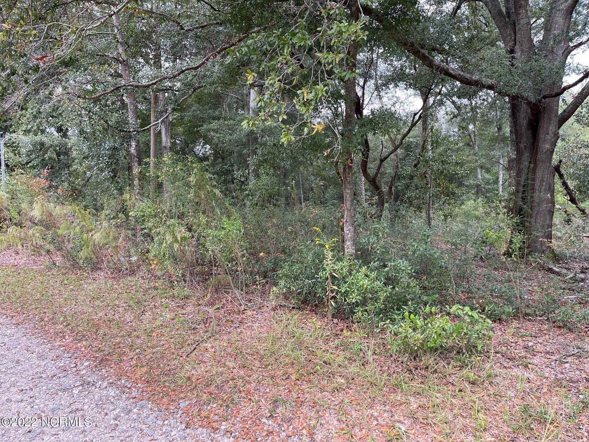 215 Flemington Road Wilmington, NC 28401 - Photo 3 of 8 pic 3