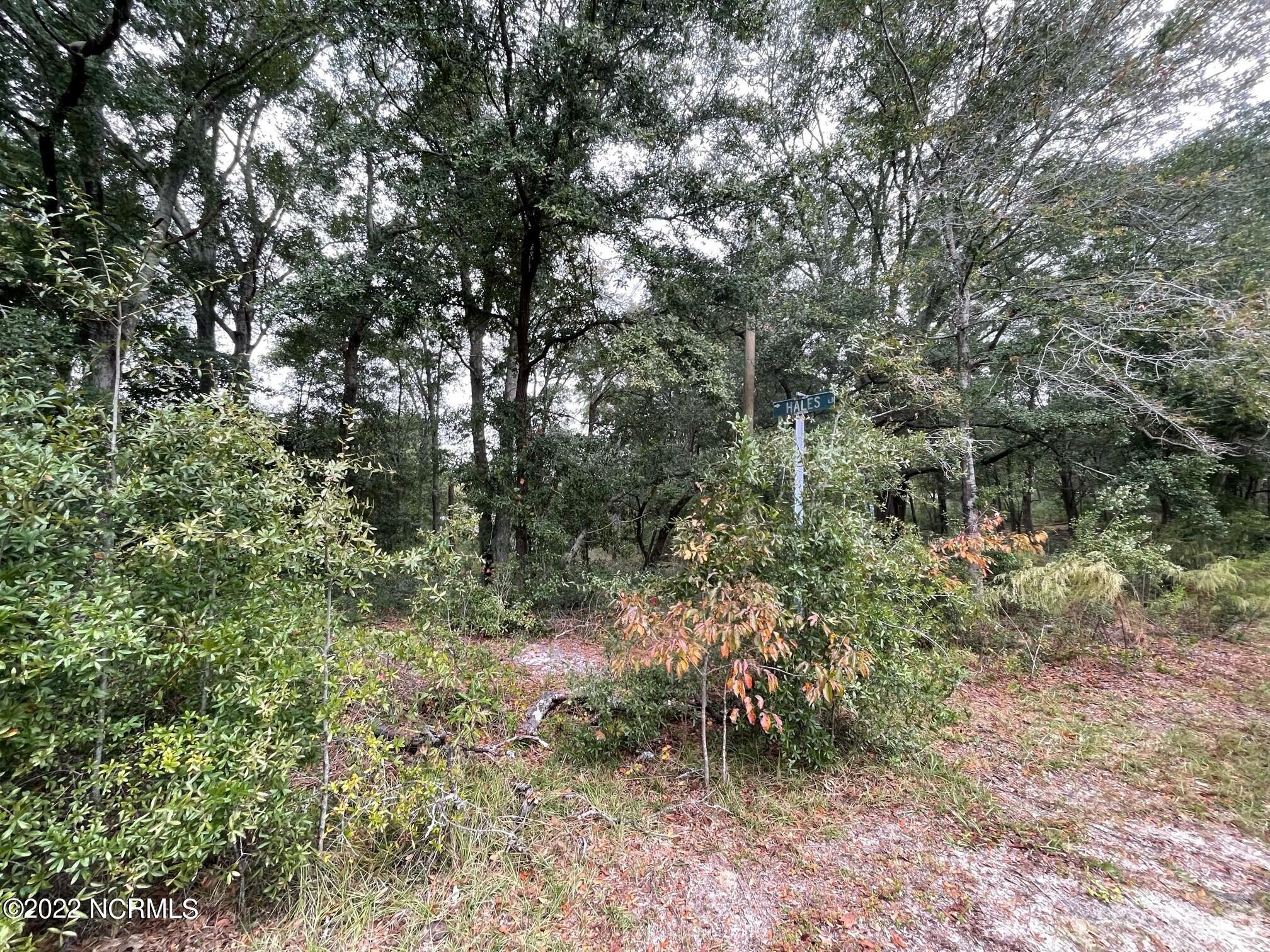 215 Flemington Road Wilmington, NC 28401 - Photo 6 of 8 pic 6