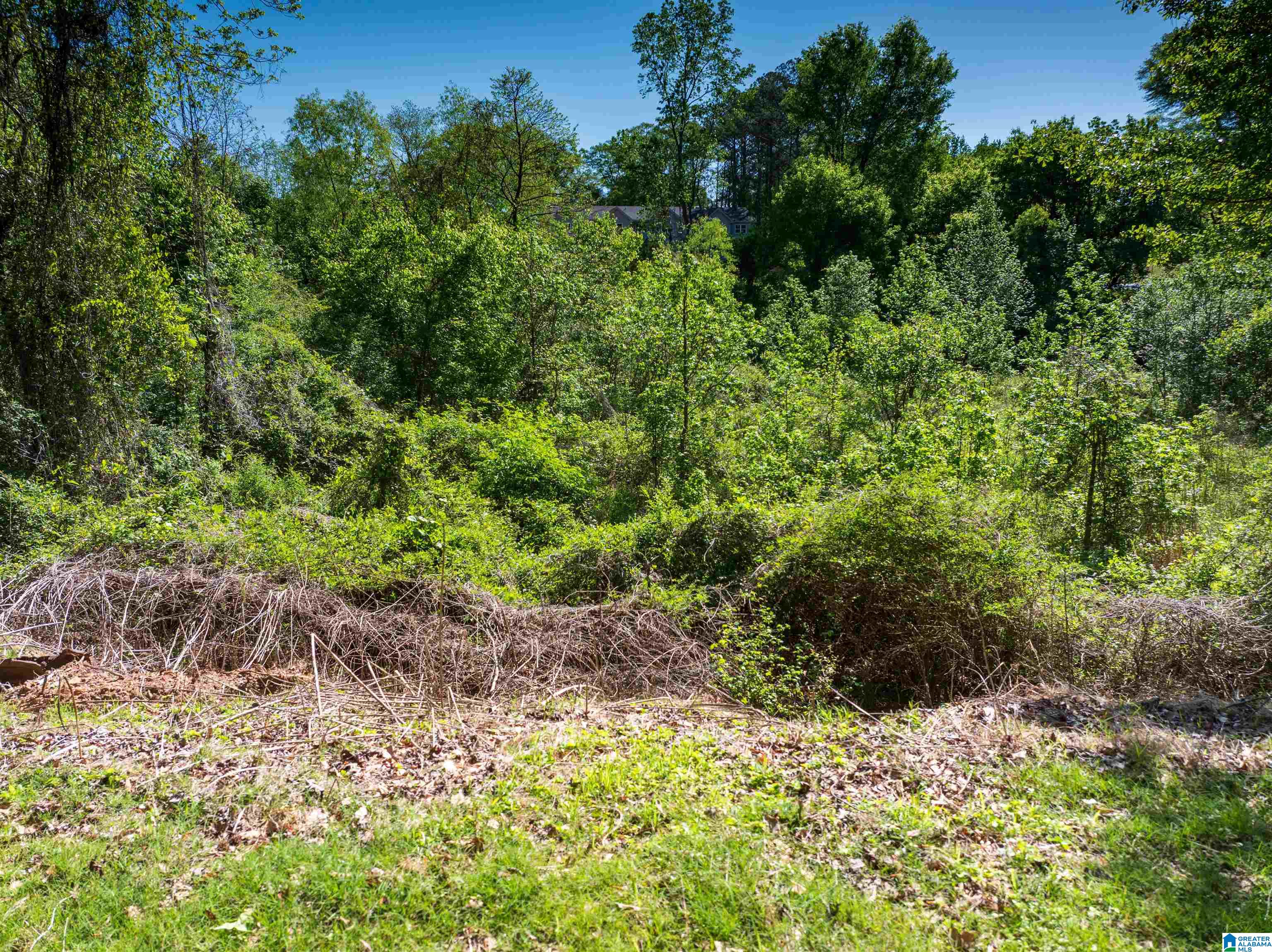 Off Of Joe Brackett Road, Unit X Jasper, AL 35504 - Photo 15 of 26
