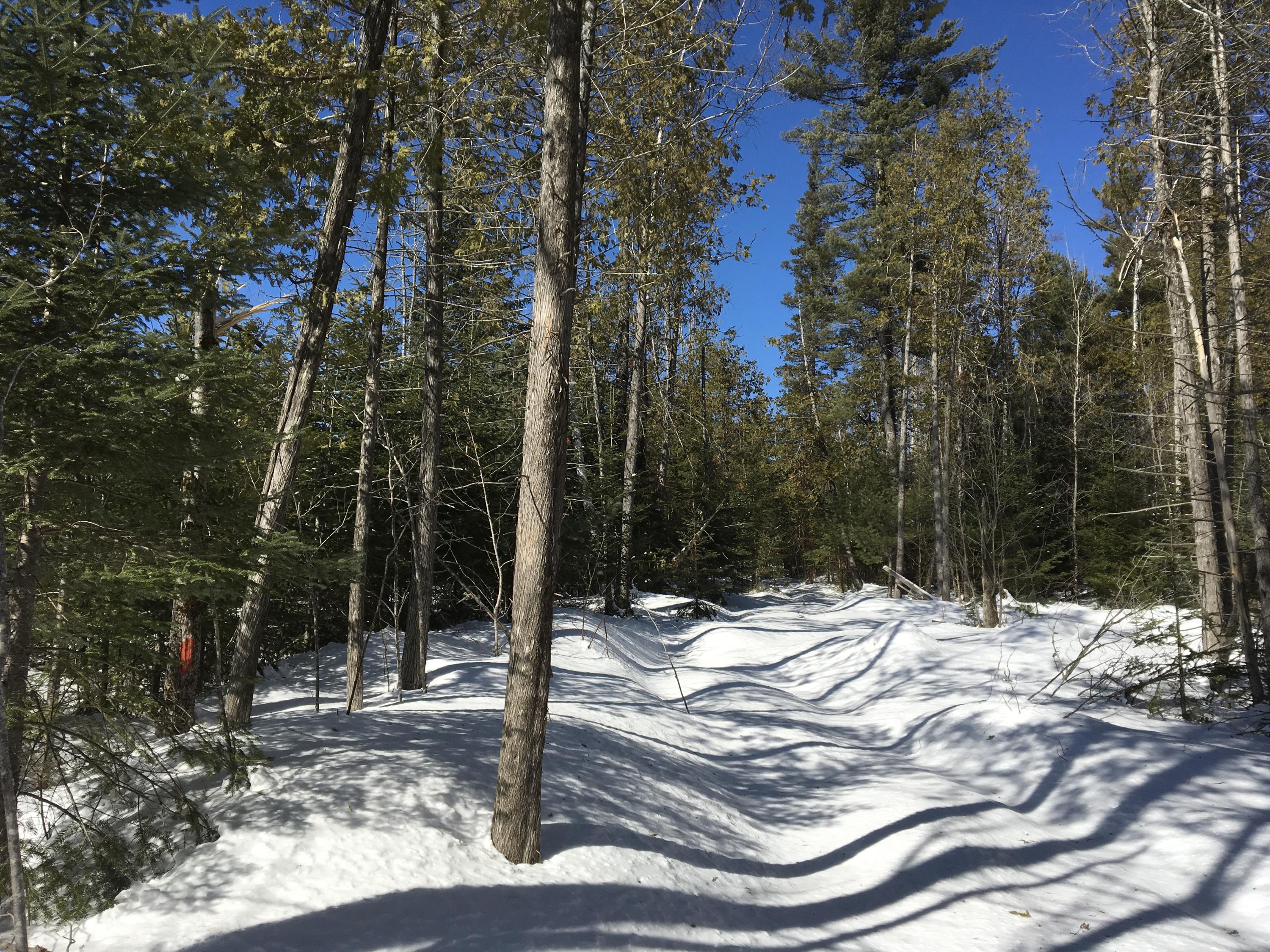 Lot 16 Downs Road Sebec, ME 04481 - Photo 3 of 10 Photo Mar 01, 1 07 02 PM