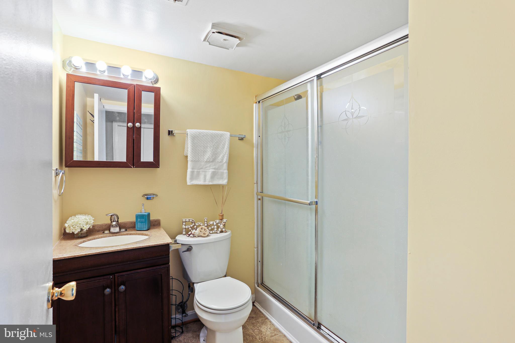 7728 Acrocomia Drive Hanover, MD 21076 - Photo 22 of 31 Updated Primary Bath