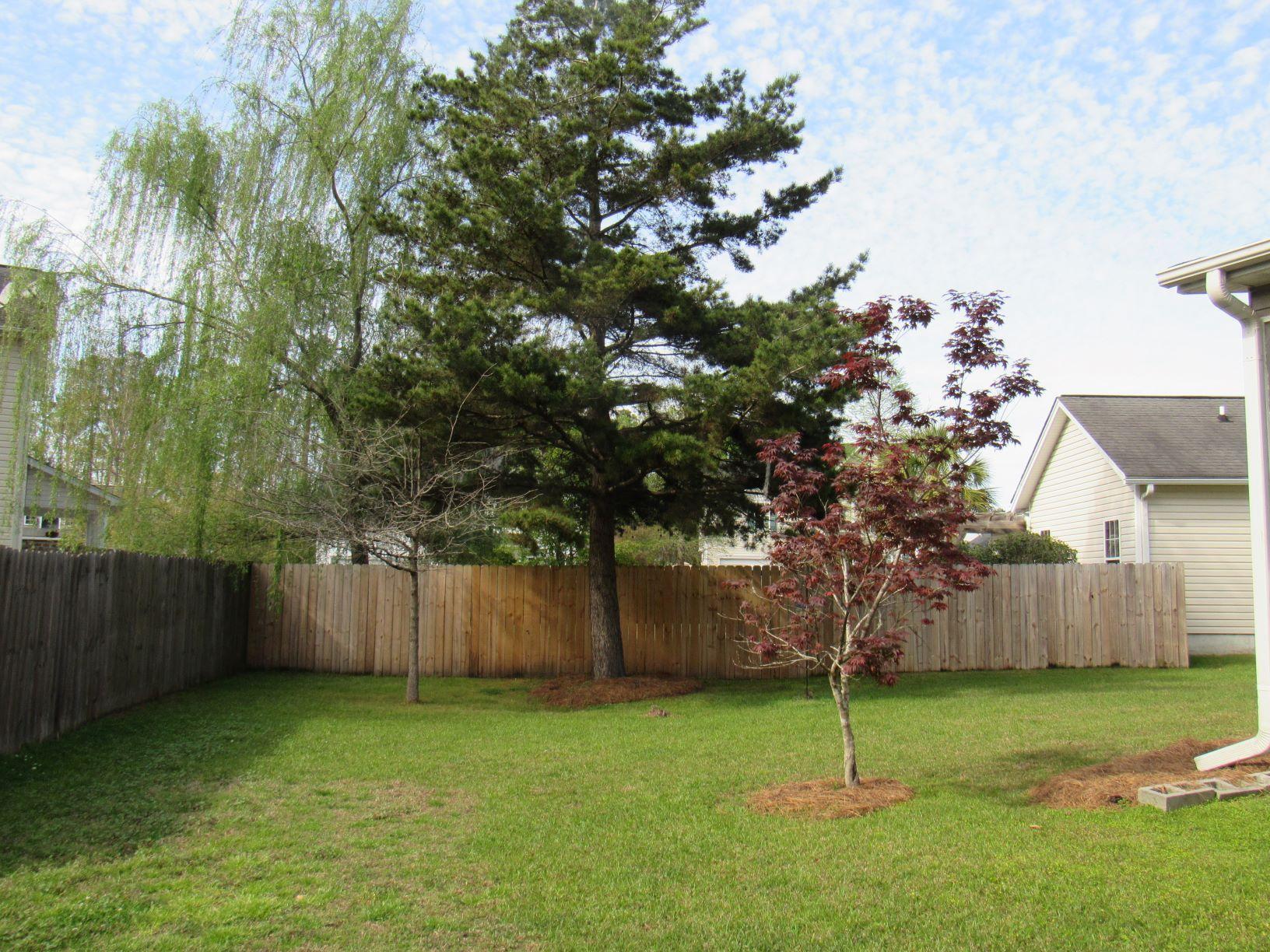 9238 Creedmore Road Summerville, SC 29485 - Photo 29 of 33 bakyard2