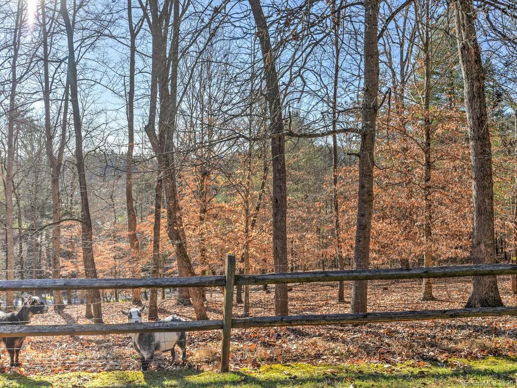 204 Kelly Hunter Road Marshall, NC 28753 - Photo 29 of 36 Gallery Image 29