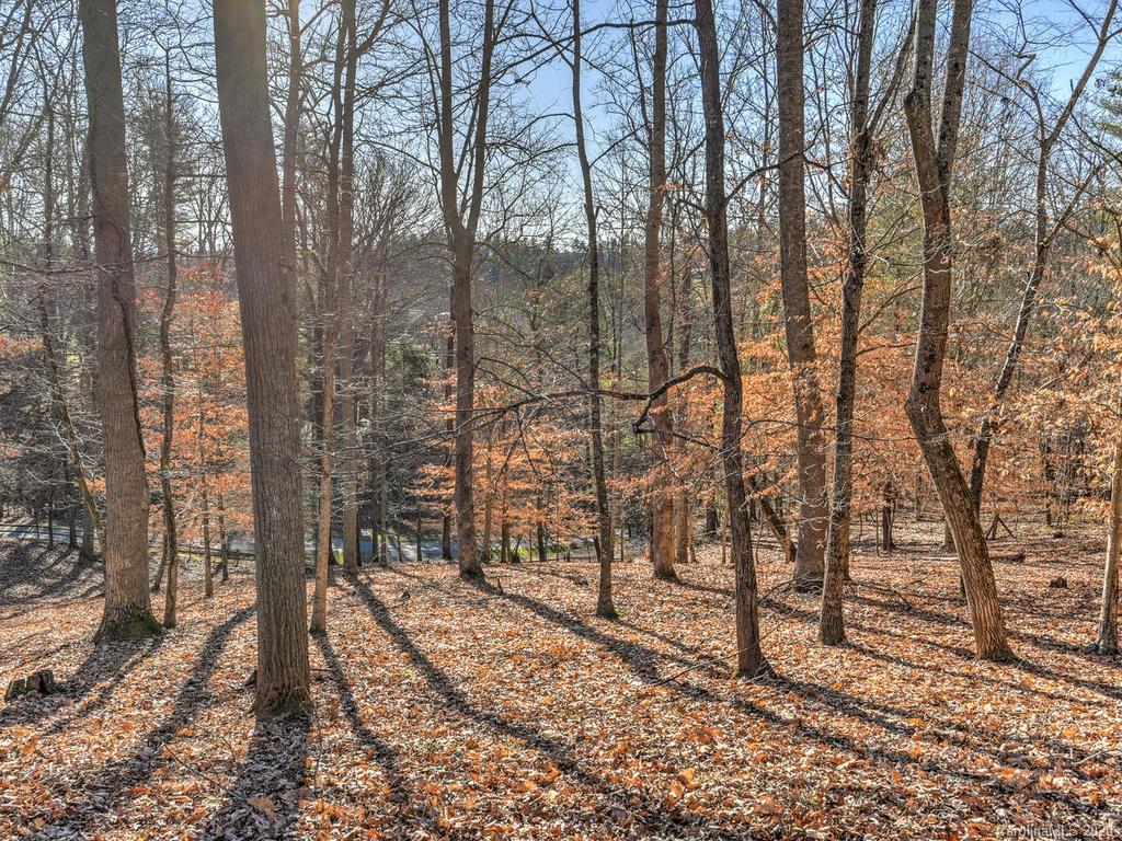204 Kelly Hunter Road Marshall, NC 28753 - Photo 30 of 36 Gallery Image 30