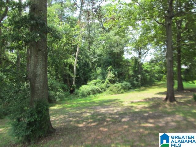 121 Dakota Road Thorsby, AL 35171 - Photo 17 of 19