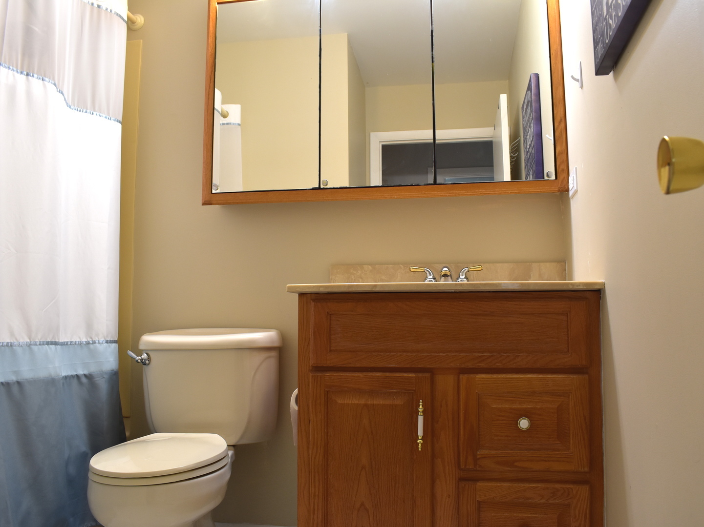680 Indian Spring Lane Buffalo Grove, IL 60089 - Photo 11 of 16
