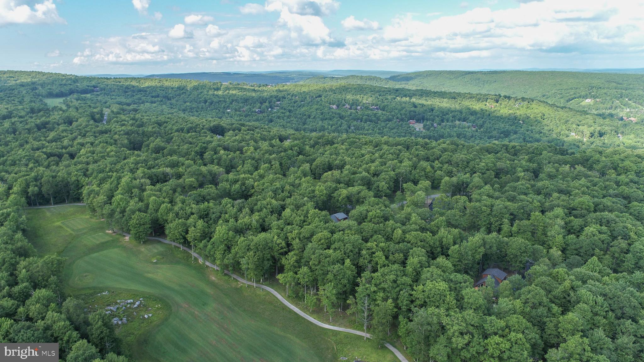 17 Fern Loop Oakland, MD 21550 - Photo 13 of 18