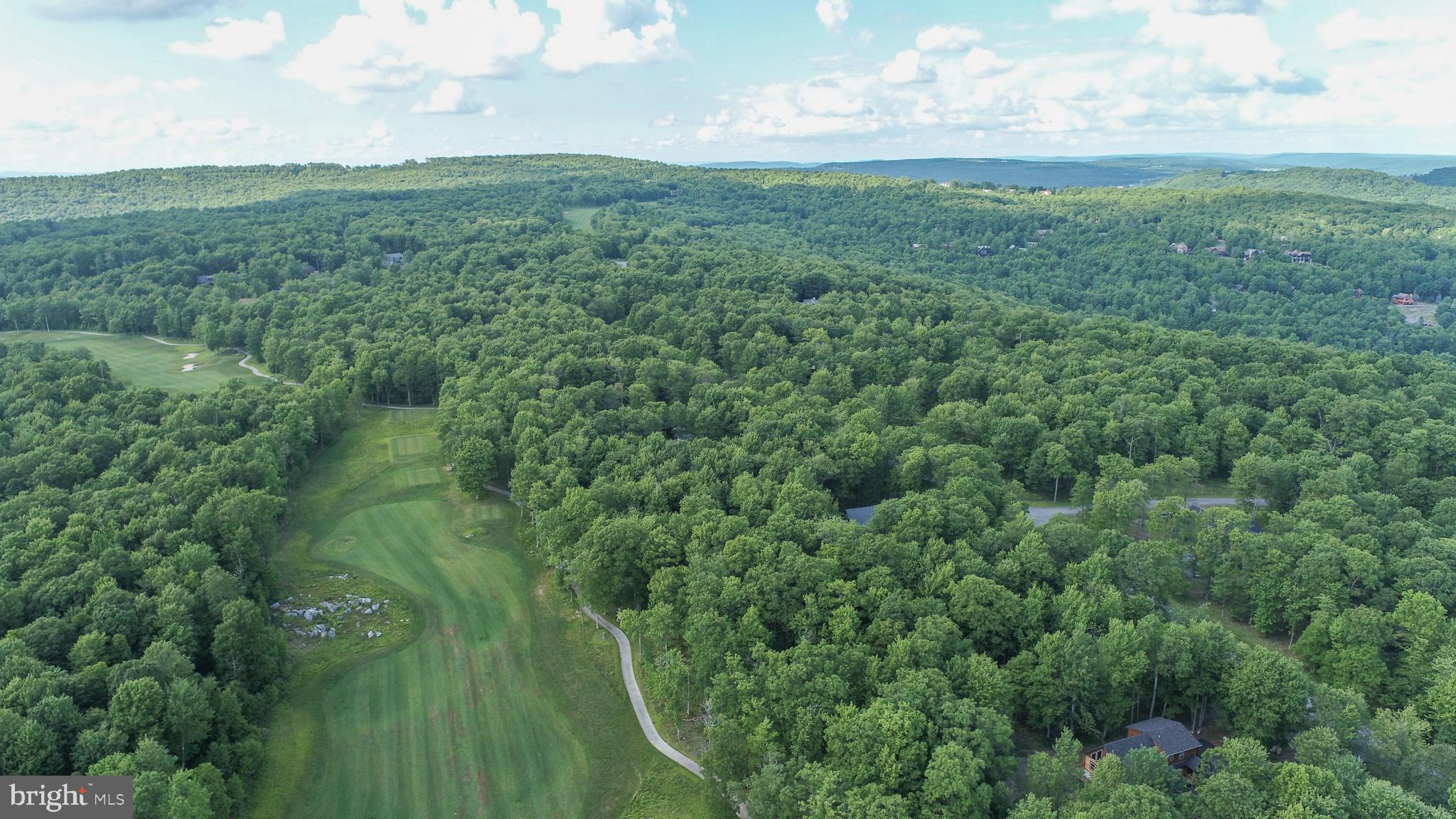 17 Fern Loop Oakland, MD 21550 - Photo 14 of 18