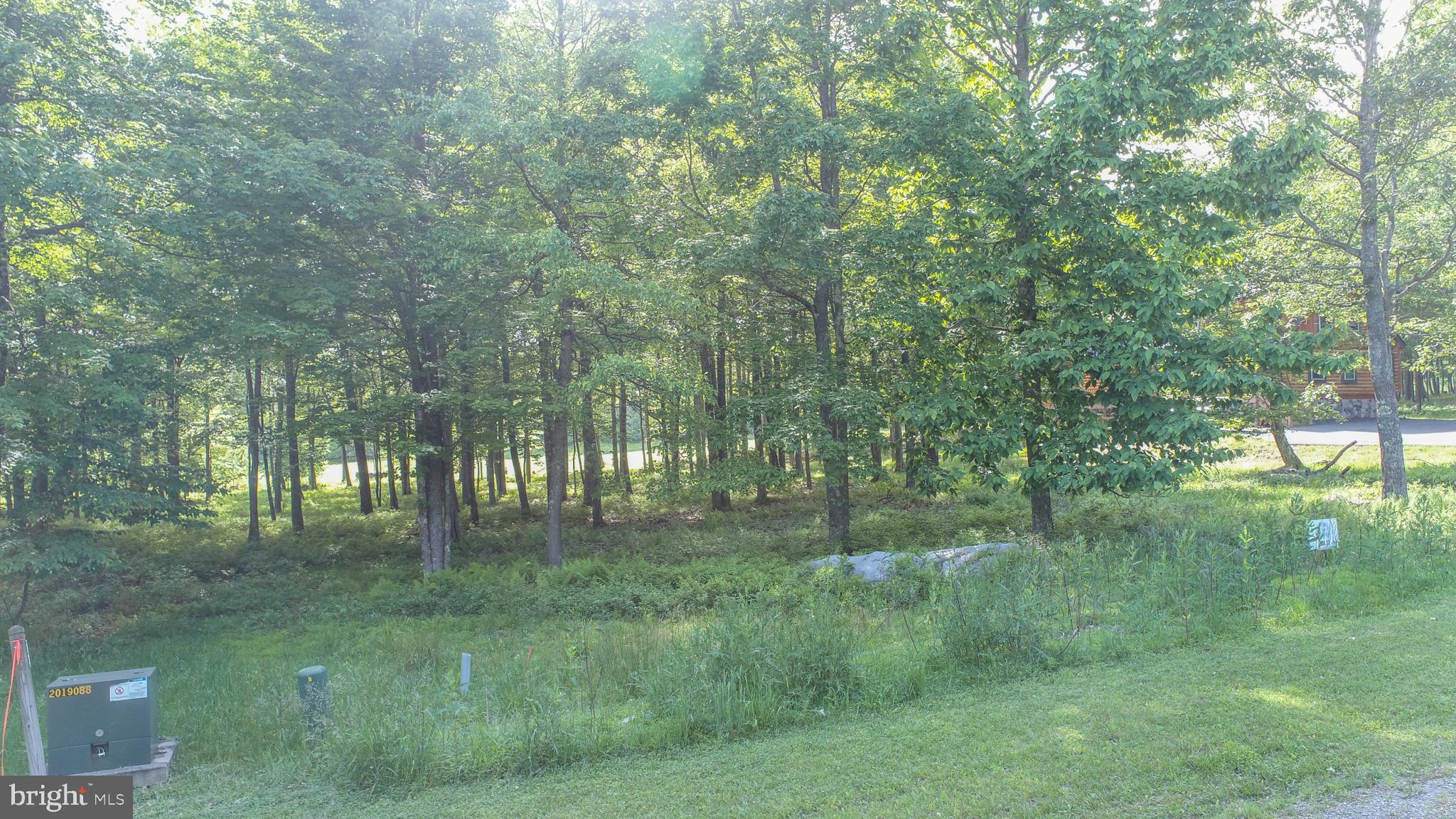 17 Fern Loop Oakland, MD 21550 - Photo 17 of 18