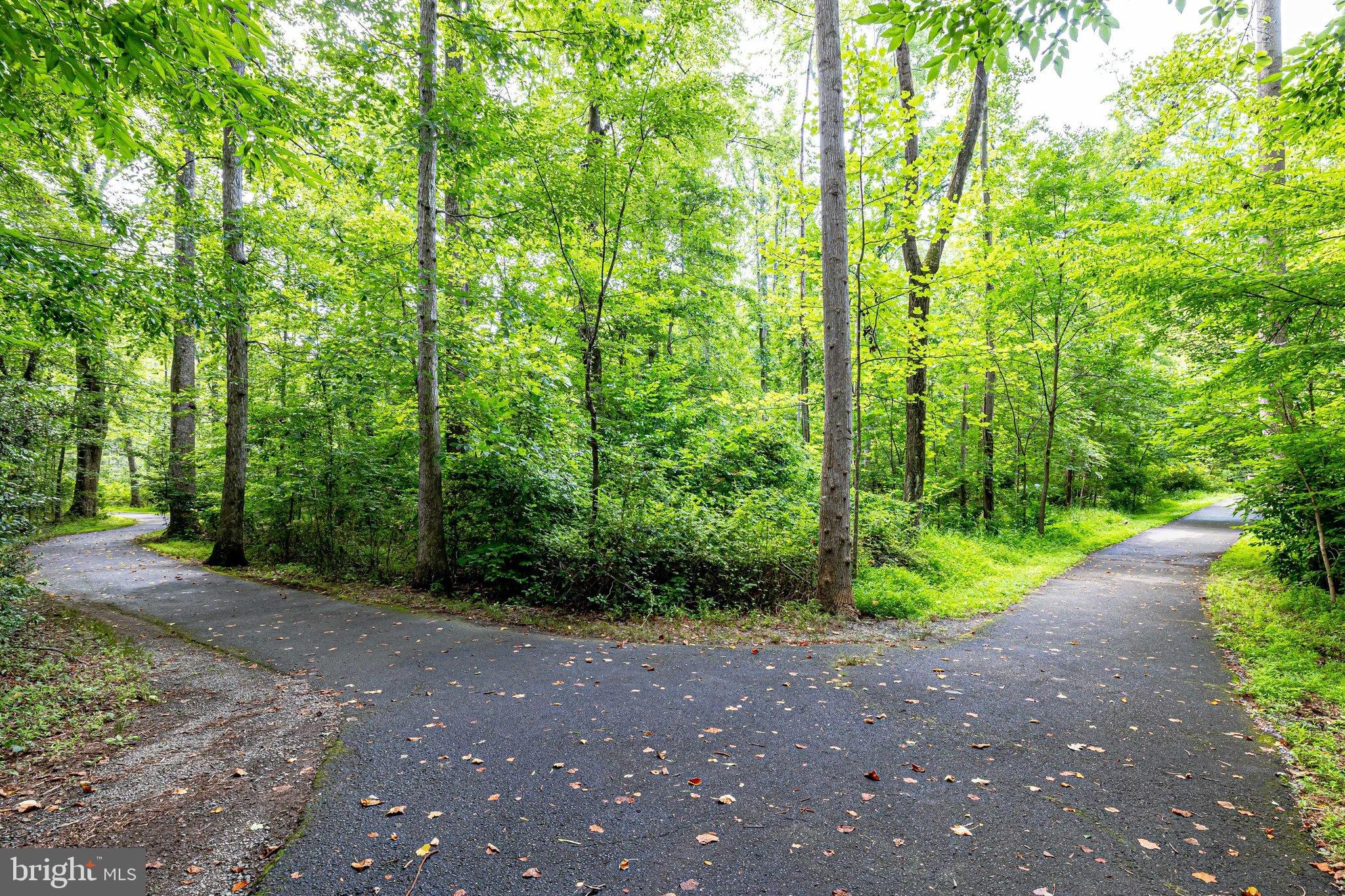 11621 Stoneview Square, Unit 22C Reston, VA 20191 - Photo 34 of 37 Walking/Biking Trails