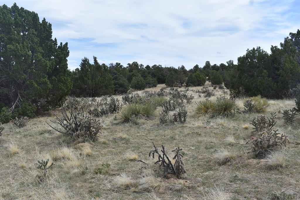 87-119 Twin Lakes Road Walsenburg, CO 81089 - Photo 10 of 21