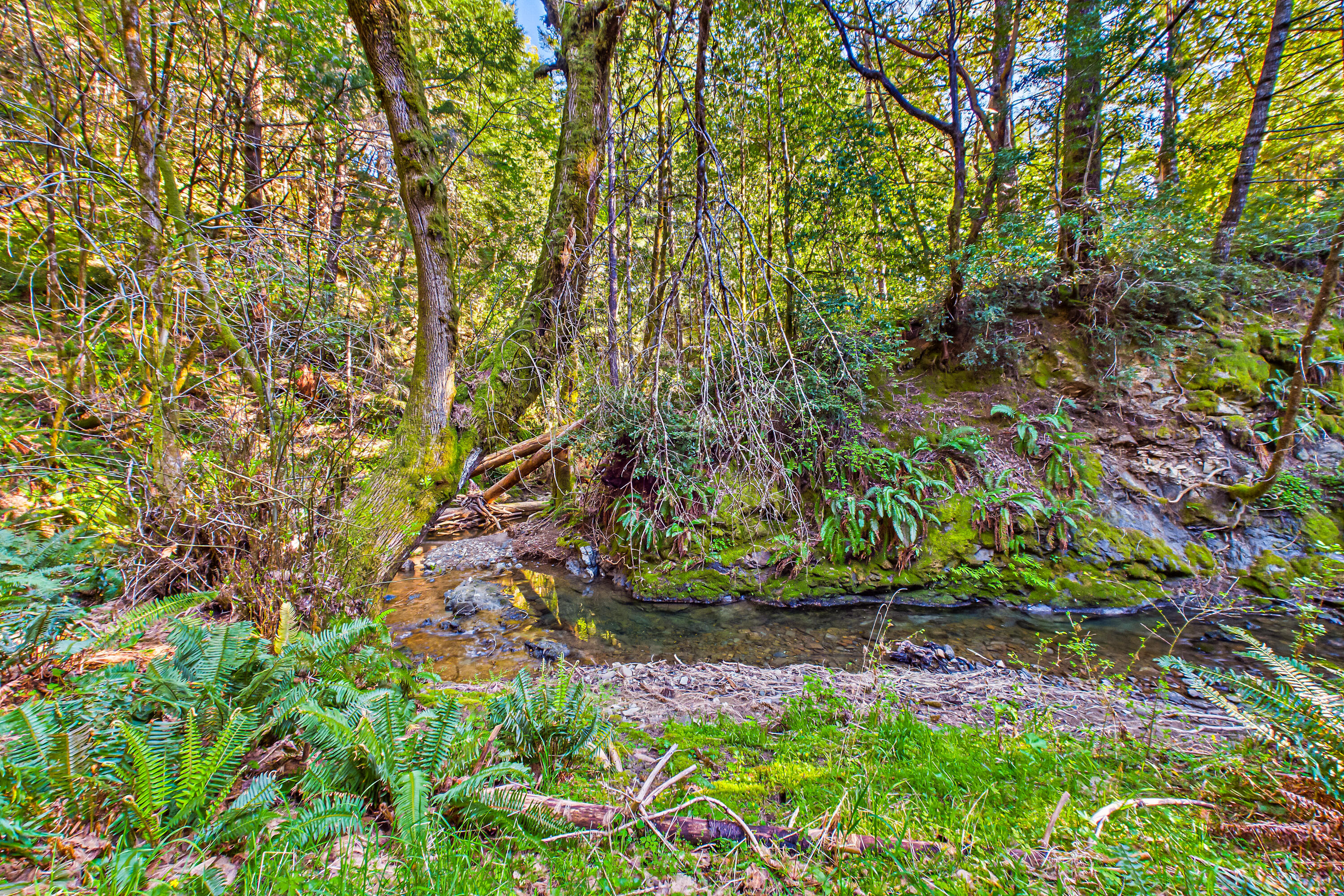 12600 Briceland Road Whitethorn, CA 95589 - Photo 100 of 111
