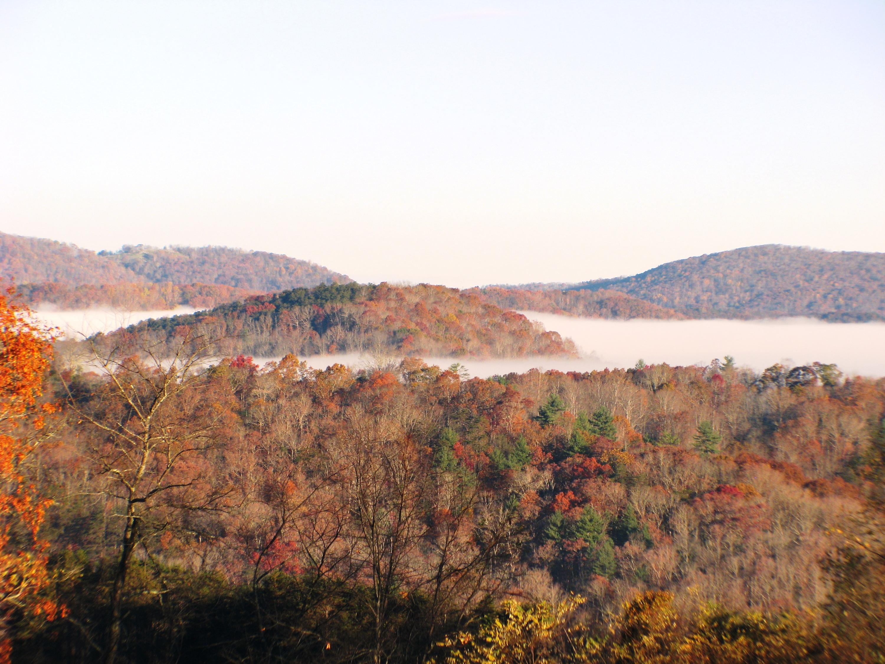 White Tree Hill Road Ballard, WV 24918 - Photo 22 of 36 Gallery Image 22