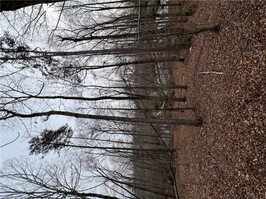 8 Gabriel Way Pickens, SC 29671 - Photo 8 of 12 A tranquil wooded lot offers a private, natural setting.