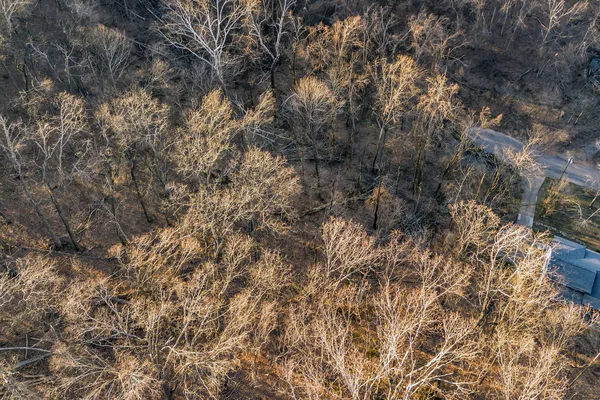 a view of a tree