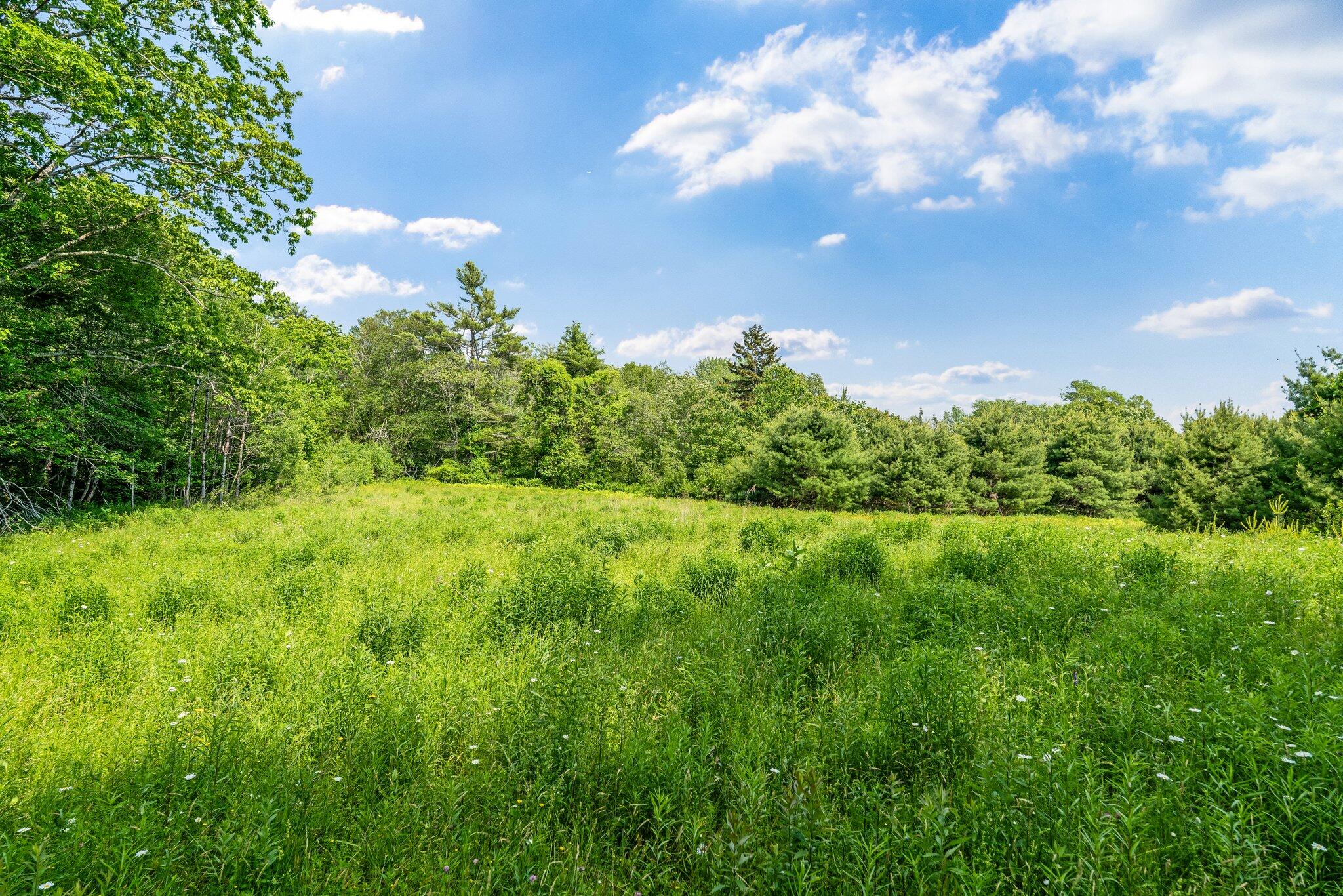Lot #3 Finntown Road Waldoboro, ME 04572 - Photo 1 of 10 22-web-or-mls-1237-finntown-rd-2