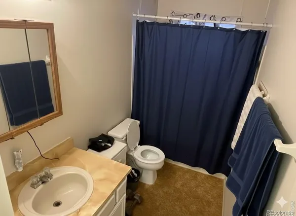 a bathroom with a sink and a toilet