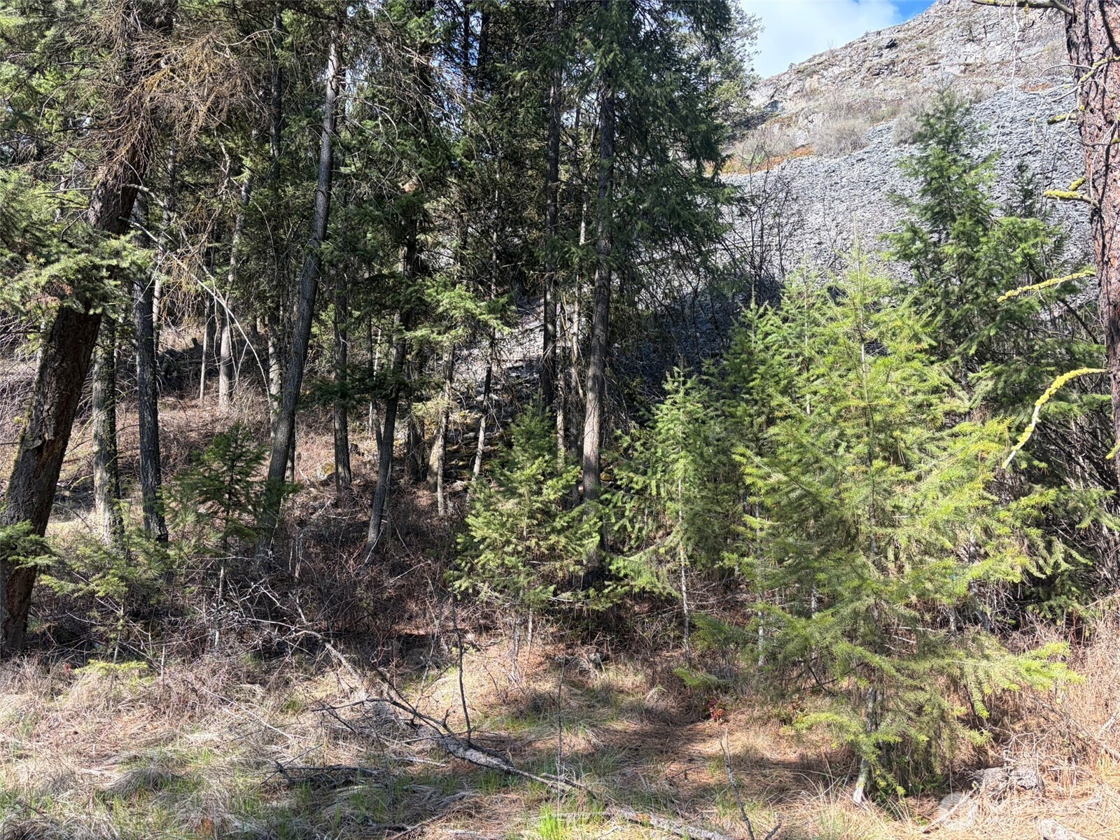 111-tbd West Curlew Lake Road Republic, WA 99166 - Photo 4 of 17