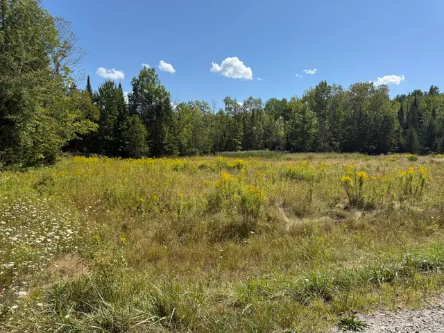 $90,000 | 39 Burleigh Road, Stetson, ME 04488