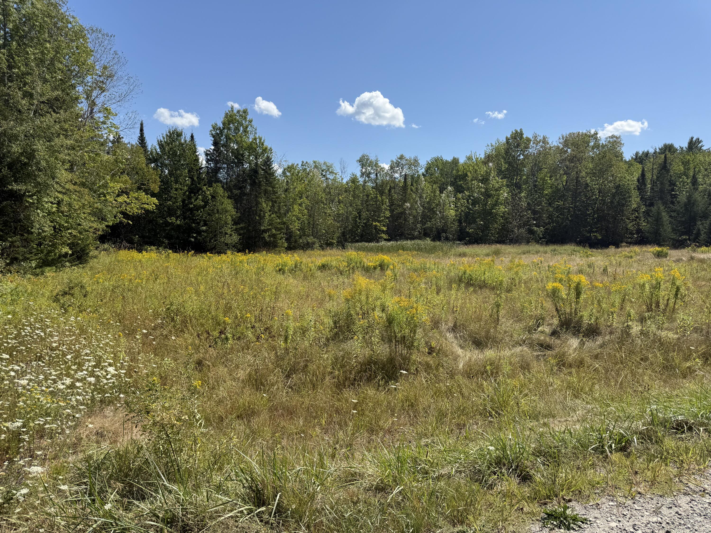 39 Burleigh Road Stetson, ME 04488 - Photo 3 of 12 IMG_3541