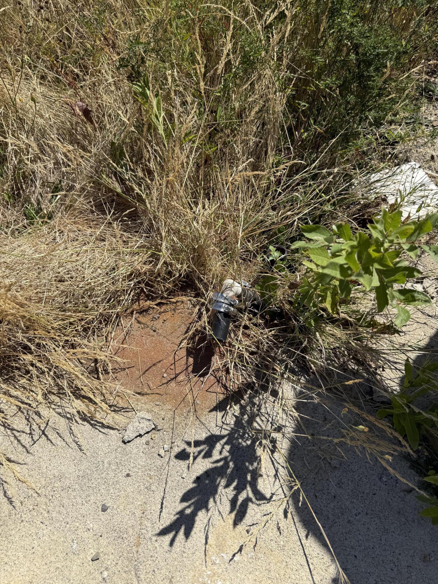 39 Burleigh Road Stetson, ME 04488 - Photo 7 of 12 IMG_3547