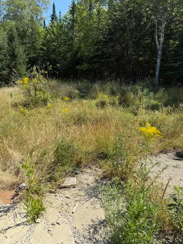 $90,000 | 39 Burleigh Road, Stetson, ME 04488