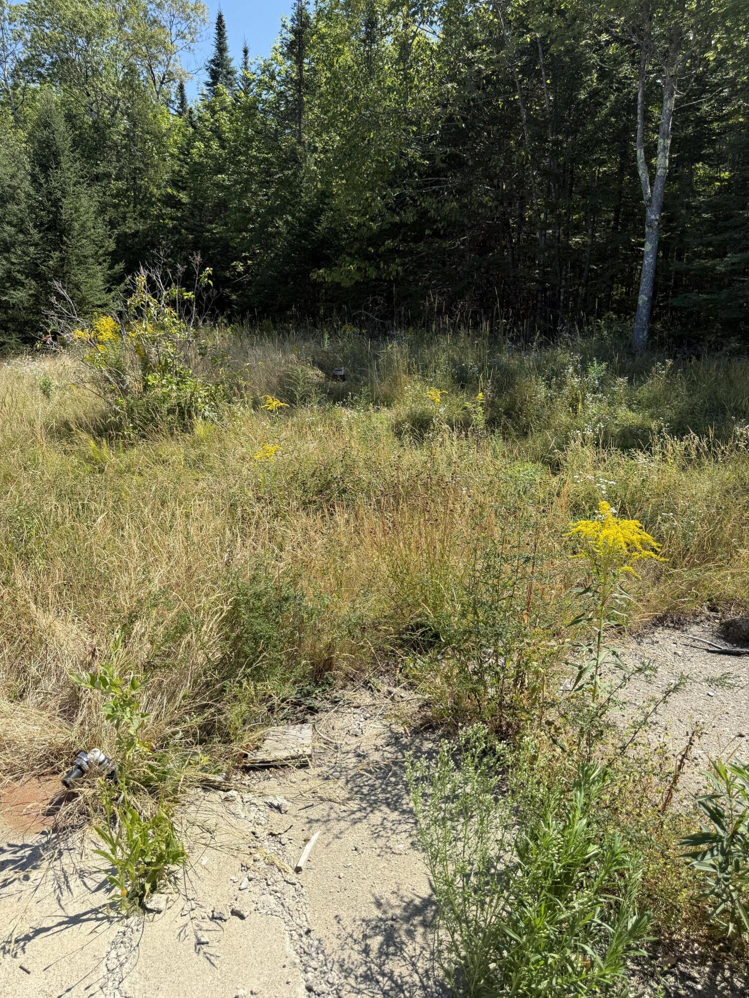 39 Burleigh Road Stetson, ME 04488 - Photo 8 of 12 IMG_3549