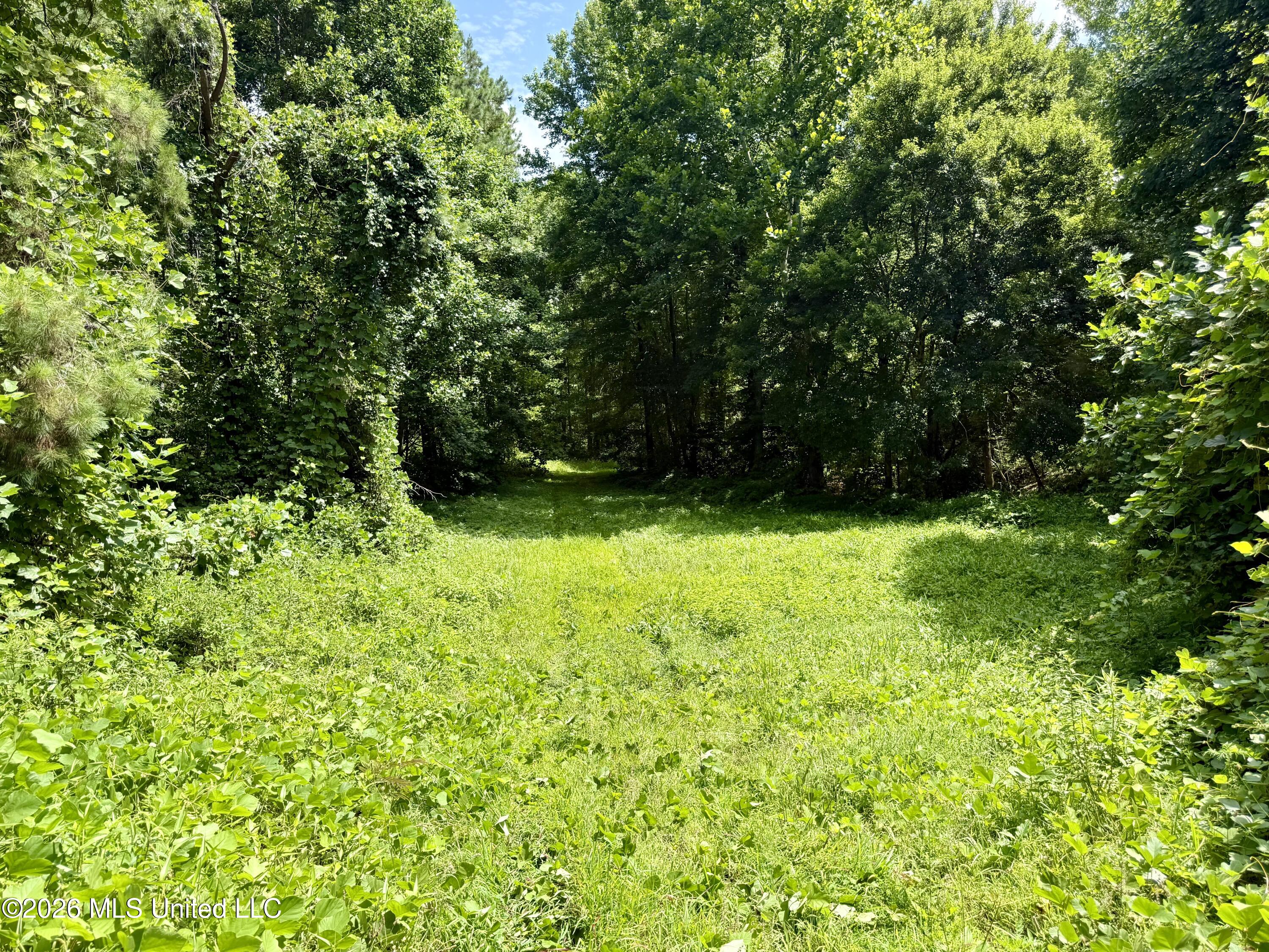 828 Little Egypt Road Ashland, MS 38603 - Photo 95 of 101 Photo Jun 30 2026, 11 02 57 AM