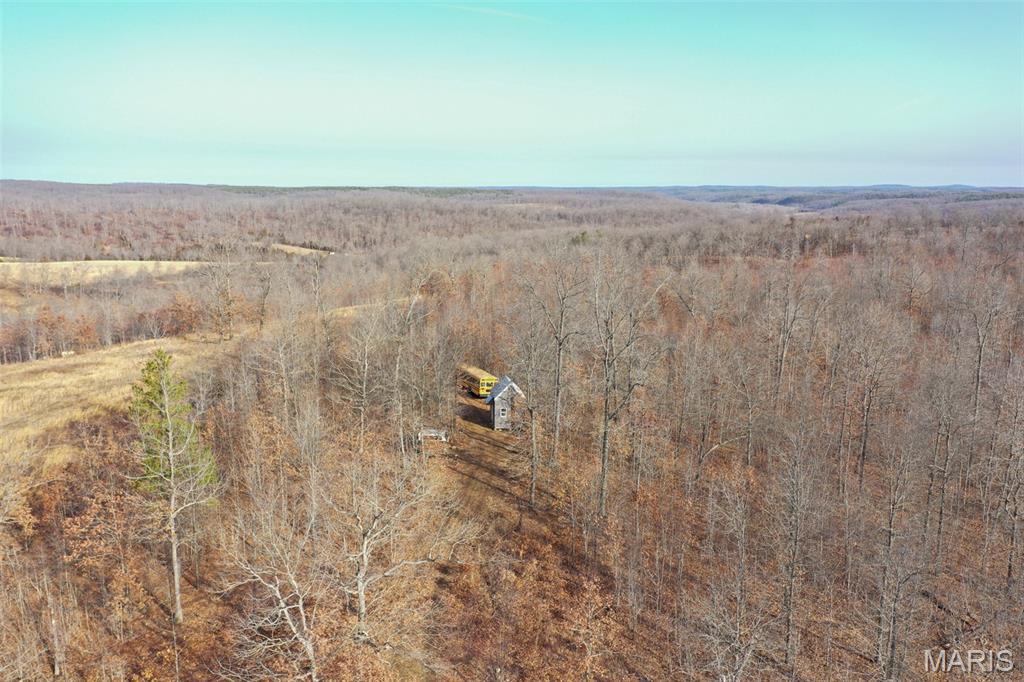 10331 Hopkins Road Potosi, MO 63664 - Photo 7 of 76