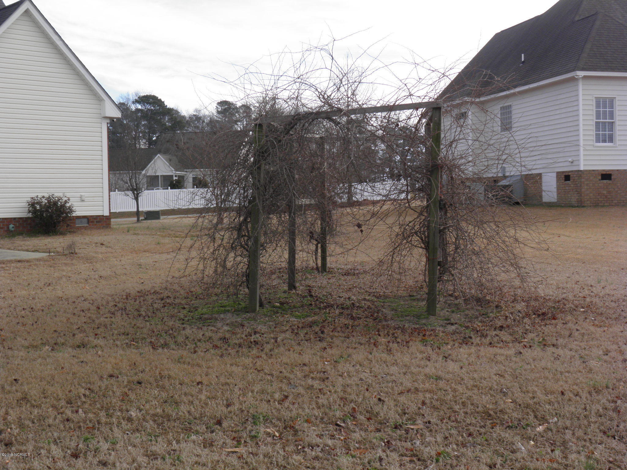 1700 Spring Pond Road Nashville, NC 27856 - Photo 16 of 19 Grape vine