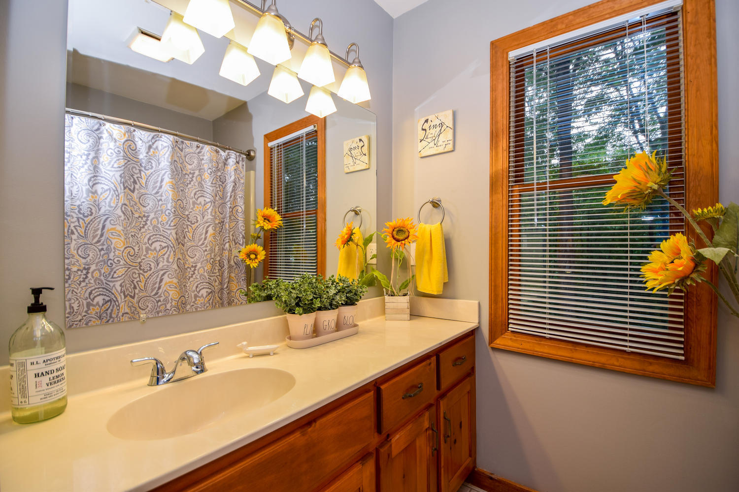 256 Deep Woods Road Hardy, VA 24101 - Photo 16 of 42 a bathroom with a double vanity sink and a mirror