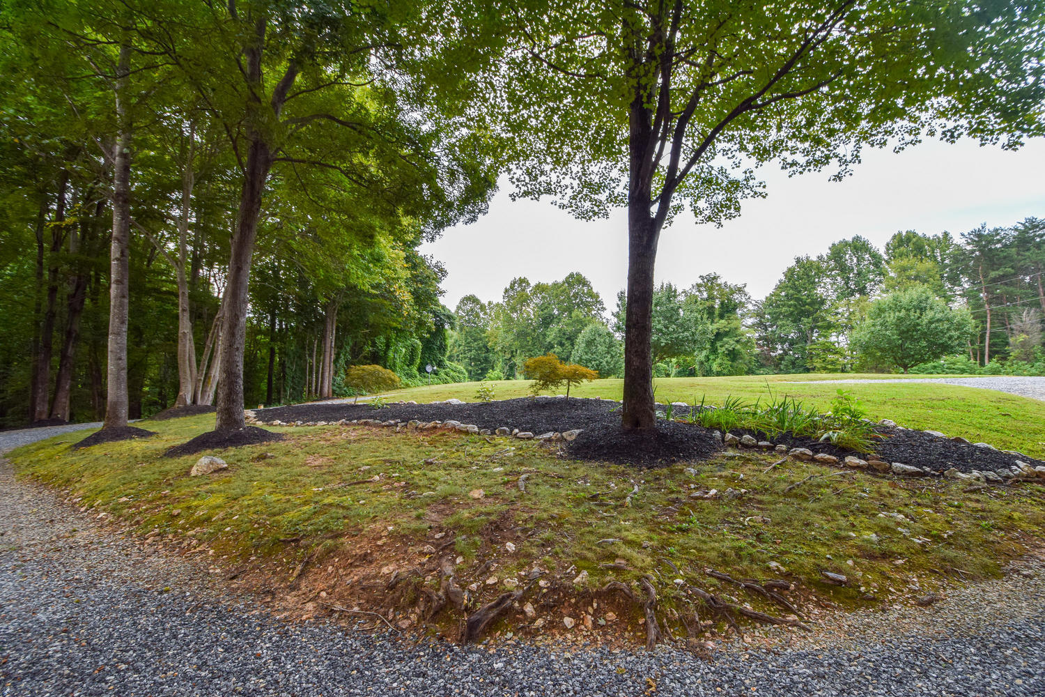 256 Deep Woods Road Hardy, VA 24101 - Photo 37 of 42 a view of a yard with trees