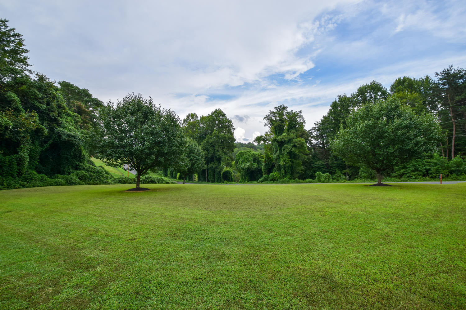 256 Deep Woods Road Hardy, VA 24101 - Photo 39 of 42 a view of field with trees in the background