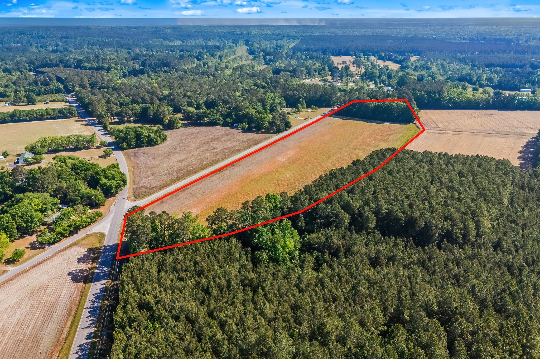 Tbd Ray Road Hemingway, SC 29554 - Photo 4 of 24