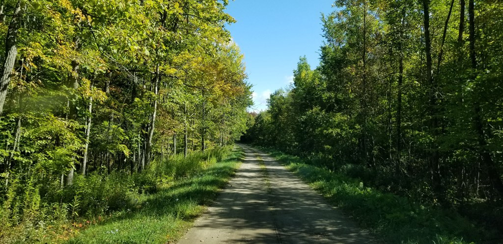 . Shee Woods Road Chateaugay, NY 12920 - Photo 4 of 14